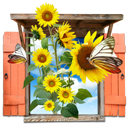 Flowers - Sunflowers Window icon